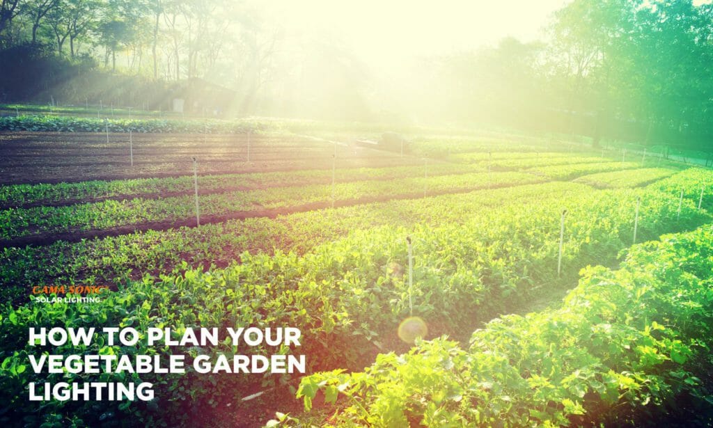 how-to-plan-your-vegetable-garden-lighting