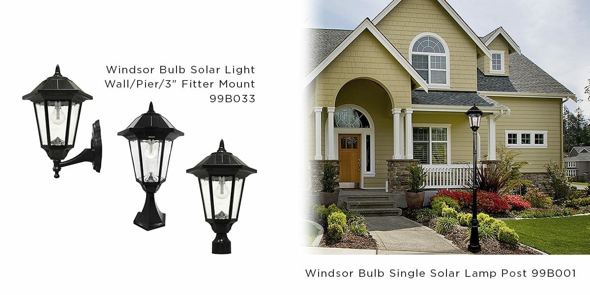 The Windsor Bulb Series
